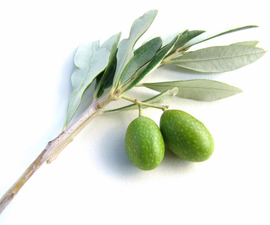 Extracto de aceite de oliva en Diaform Plus